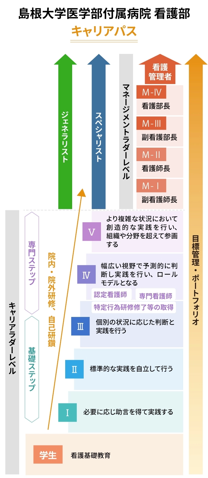 島根大学医学部付属病院 看護部のキャリアパスを示す図。キャリアは「ジェネラリスト」「スペシャリスト」「看護管理者」に分かれ、各キャリアの進行ステップが視覚的に示されている。